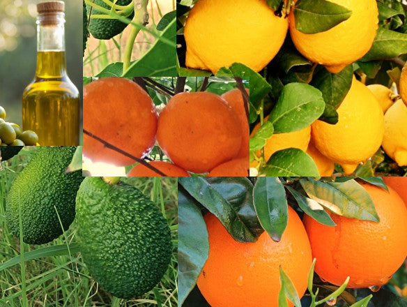 Pacco 10kg con assaggi della nostra produzione